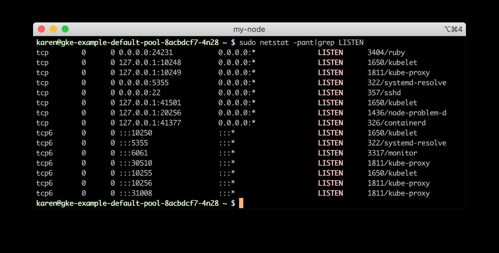 Screen shot showing output from netstat command